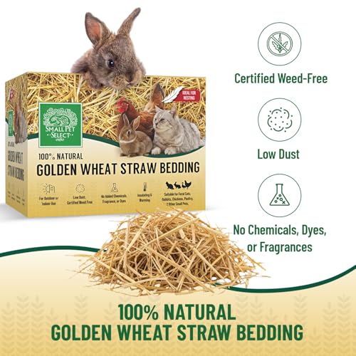 Small Pet Select - Golden Wheat Straw Bedding, 8lb, 100% Natural Plant Material, Soft Animal Bedding Litter with Odor Control for, Rabbit, Hamster, or Bunny, Habitat Accessories, Made in USA