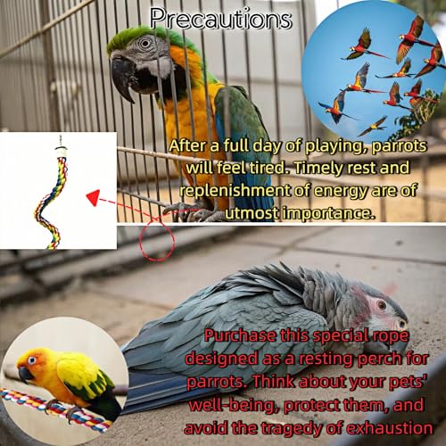 Bird Rope Perches, Parrot Toys, Bungee Rope Perches for Parrots, Cockatiels, Parakeets, Budgie Cages Comfy Birds (Metal Nut) - 48.03 inches - size: 122cm