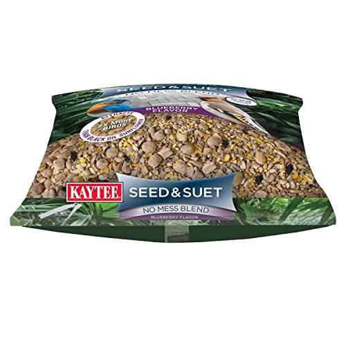 Kaytee Seed & Suet No Mess Blend Blueberry Flavor 10 Pounds - size: 10 Pounds (Pack of 1)