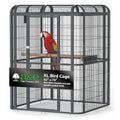 A&E Cage Co WI6262 Walk-in Bird Aviary for Parrots, 62"x62"x79" Black | Key-Lock 69"x25" Door, 3 Swing-Out Feeder Stations, Stainless Steel Bowls, Fits African Greys, Amazons & Cockatoos - size: 62.0"L x 62.0"W x 79.0"H