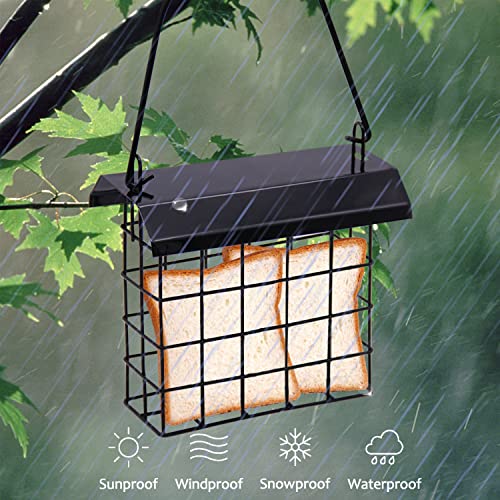 FORUP Suet Bird Feeder, Hanging Suet Feeder, Single Suet Cake Bird Feeder, One Suet Capacity, 2 Pack