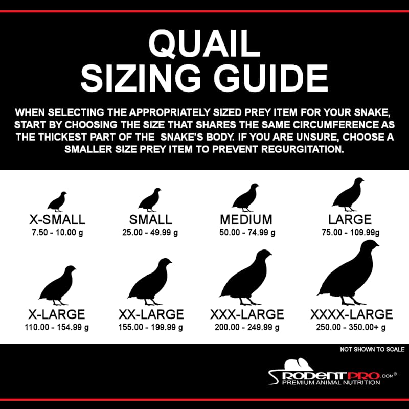 RodentPro Frozen Reptile Feeder Extra-Small Coturnix Quail (50 Count)