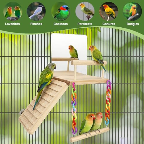Bird Perches Platform Swing for Cage Bird Toys with Bird Mirror | Climbing Frame for Lovebirds, Budgies,Pacific Parrotlets,Chinchilla, Hamster Gym Exercise