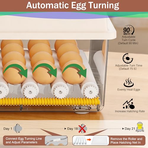 16 Eggs Incubators, Chicken Incubator with Automatic Egg Turning | Incubators for Hatching Chicken Eggs, Quail Incubator with 4 Auto Incubate Mode, with Humidity Display Auto Water Filling - color: White, size: 16 Egg