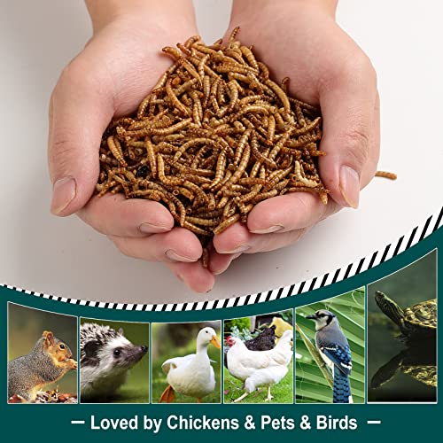 6LBs Non-GMO Dried Mealworms,High-Protein Larvae Treats Feed Molting Supplement for Birds Hens Ducks etc,Large Bulk Meal Worms Birds Chicken Food