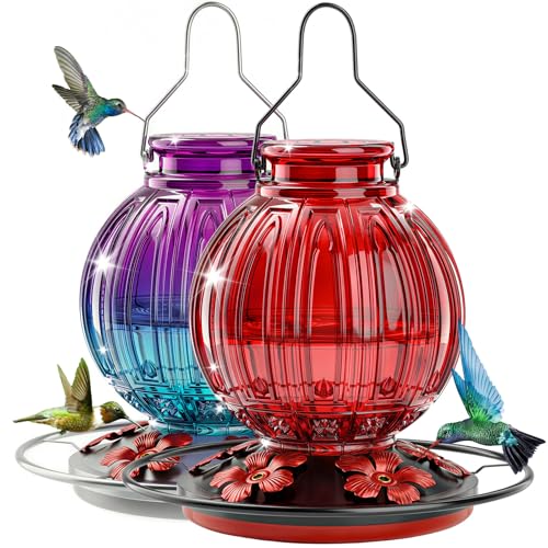 2 Pack Glass Hummingbird Feeder for Outdoors Hanging, Bird Nectar Feeder with Perch & 5 Flower Feeding Ports, 26 Oz Leak Proof for Outside Garden Decor Backyard, Gifts for Women Mom, Red + Purple Blue - color: Red + Purple Blue