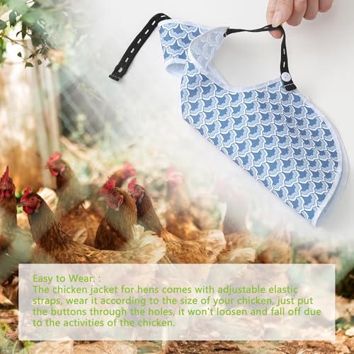 Chicken Saddle for Hens, 3 Pack Adjustable Breathable Aprons | Adjustable back straps prevent pecking and ensure durability. Protects hens during mating. Easy to wear. - color: Blue