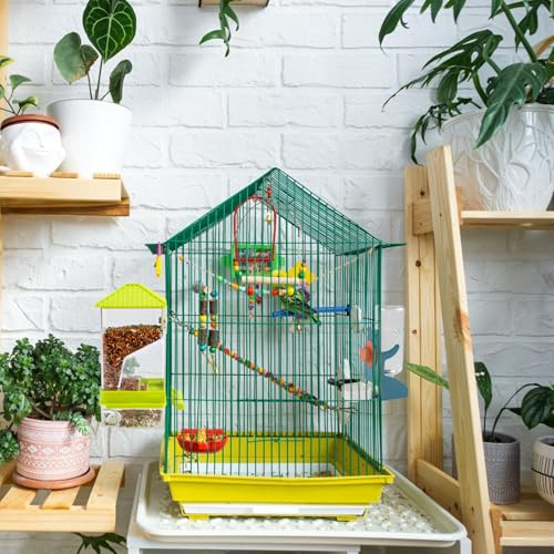 Rypet No-Mess Bird Feeder and Water Dispenser Set for Small Birds | Automatic Bird Feeder, Transparent Acrylic Food Container, Helps Reduce Seed Scatter, for Parakeet Cockatiel Parrot Canary - color: A80 Green Feeder + Drinking Bottle