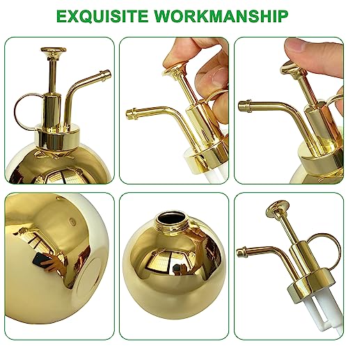 Stainless Steel Plant Sprayer, Small Watering Can, Modern Gardening Tool for Indoor Potted Plants, Gold Color - color: 17oz/Gold color