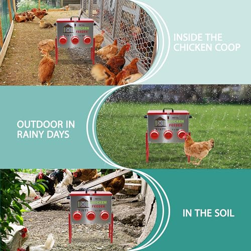XINYI 9.3 Gallon Automatic Chicken Feeder, 6 Ports Gallon Chick Feeder No Waste with Adjustable Legs, Rodent Proof & Weatherproof Metal Raised Poultry Feeder - size: 6 ports with legs