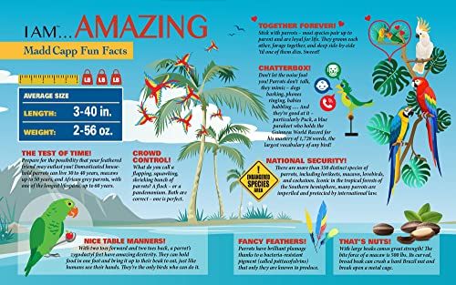 Madd CAPP Parrot 300 Piece Jigsaw Puzzle for Ages 10 and up - 6022 Unique-Shaped Border, Challenging Random Cut Pieces, Deluxe Five-Sided Tamperproof, Includes Educational Fun Facts (Parrot 300/6022)