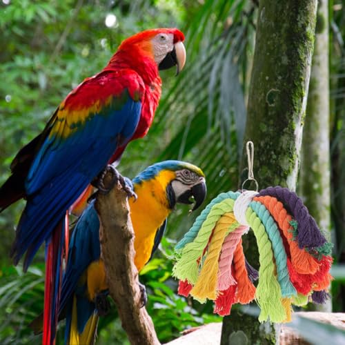Bird Rope Chew Toy with Hanging Buckle Cotton Bird String Toy for Parrots Cockatiels and Parakeets Cage Hanging Chewing Plaything 7.87 X 5.90 X 3.93 in