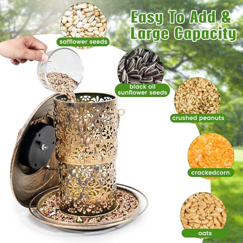 DY-SKTY Metal Bird Feeder for Outdoor Hanging, Large Capacity Solar light Wild Bird Feeder with Drainage Holes,Landing Ring, Solar Lanterns for Garden Decoration, Unique Bird Watching Gift for Outside