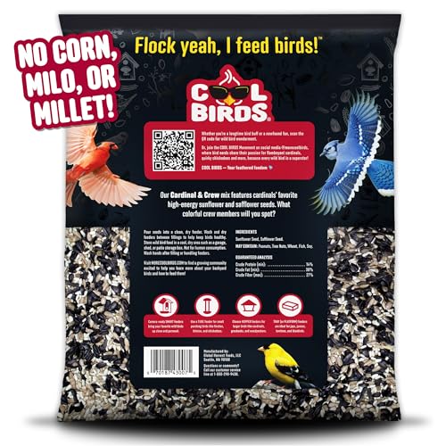 Cool Birds Cardinal & Crew Wild Bird Seed, 10 lb | Black Oil Sunflower, Sunflower Hearts & Safflower Blend for Cardinals, Grosbeaks & Chickadees – Bird Food for Outside Feeders