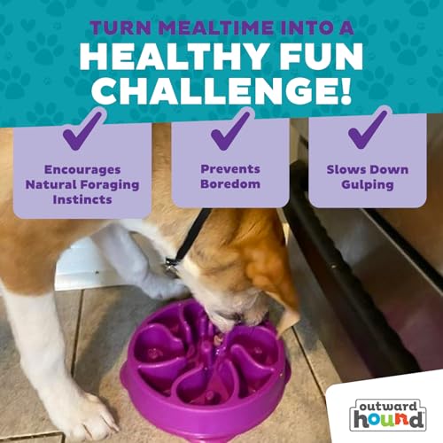 Outward Hound Fun Feeder Slo Bowl – Medium 2‑Cup Capacity,Slow Feeding,Small to Medium Dogs & Cats,Non-Slip,Purple,Flower Pattern,(Pack of 12) - color: Purple, size: Medium (Pack of 12)