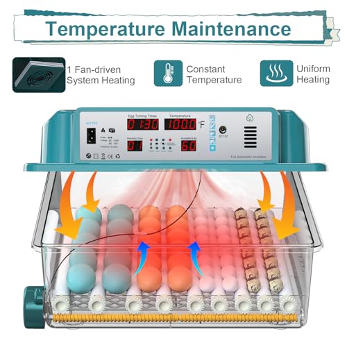 64 Egg Incubators for Hatching Eggs,Incubator with Automatic Egg Turning and Humidity,Chicken Incubator with 5 Automatic Incubate Mode,Poultry Egg Incubator with Incubate Day Counter and Egg Candler