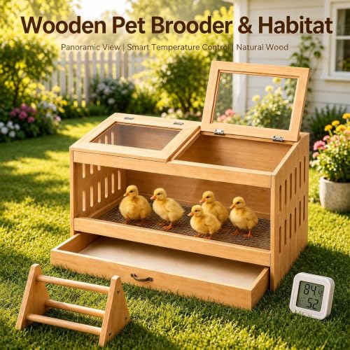 Wooden Brooder Box for Chicks, Ducklings & Quail Chick House | Solid NZ Pine Brooder Box, 31.5×15.75×15.75 in, Thermometer & Chick Perch, Clear Acrylic, Pull Drawer, Dual Vents for Poultry