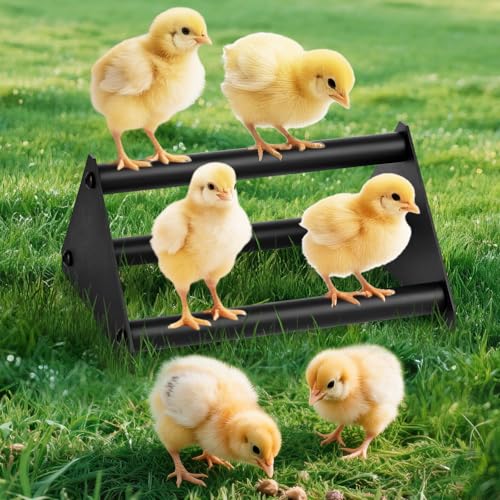 Makerfire Chicken Perch for Coop, Metal Roosting Bars for Chickens in Coop, Anti-Termite Chewing Baby Chick Perch Toys for Brooder, Training Perch Ladder for Large Bird, Parrot, Hens, Macaw (Small)
