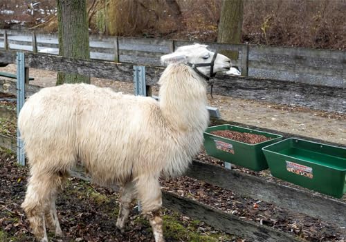 Large Feed Trough and Goat Feeder - 2 Pack Hanging Feeder with Clips, Waterer Bucket, Fence Feed Trough, Goat Supplies, 10 Quart - color: Black