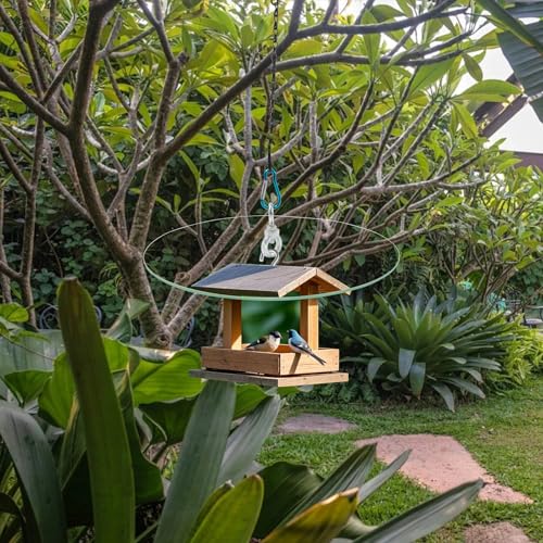 2 Set 11.2'' Clear Glass Squirrel Baffle Weather Guard for Hanging Hummingbird Feeder, Bird Feeder Snow/Rain Guard Protective Cover Dome for Outdoor Garden Yard Use