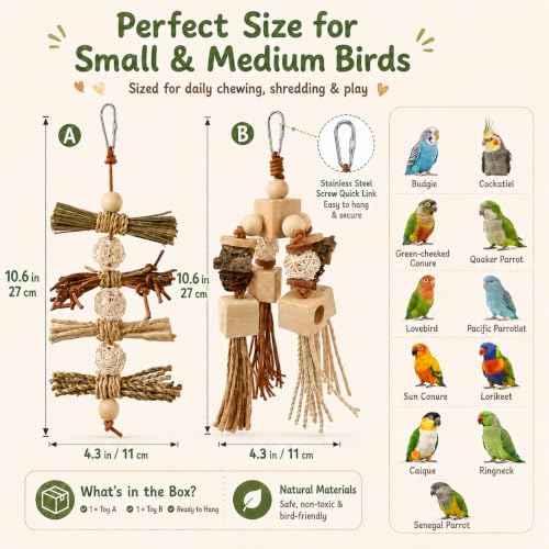 2Pcs Natural Bird Toys for Parrots, Parakeet & Cockatiel - Foraging Cage Toy with Wood, Cork Bark, Raffia - Shredding Chewing Gear Conures, Budgies, Lovebirds - Safe Stainless Link