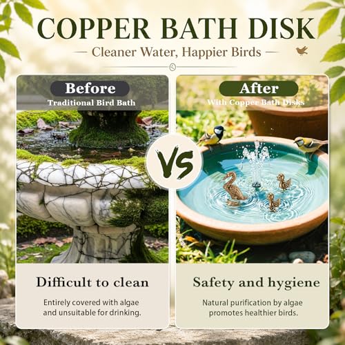 4 Pcs Mini Bird Bath Copper Ornaments Bird Bath Purification Disk Birdbath Cleaner Single 1 oz Weight Universal Fit for Outdoor Birdbaths, Bowl (Duck) - style: Duck
