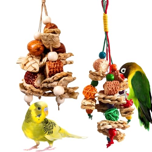 2pcs Bird Toys for Parakeets,Parrot Cage Chewing Hanging Toy | Bird Foraging Toys,Parrot Toy For Conure Cockatiel Budgies Lovebird