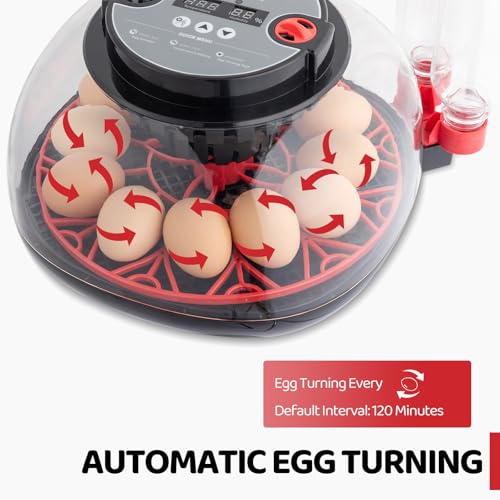 US 12-Egg Incubator with Automatic Egg Turning, Temperature & Humidity Control, Auto Water Addition & LED Egg Candler - Hatching Machine for Chicken, Duck, Goose, Pigeon, Quail & Bird Eggs