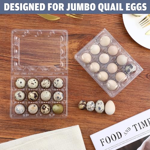 60 Pcs Giant Quail Egg Cartons 12 Grids Clear Plastic Stackable Trays for Jumbo Quail Eggs, Pigeon Eggs, Small Poultry, Great for Home Fridge Storage, Farm, Market, Gift Box Packing