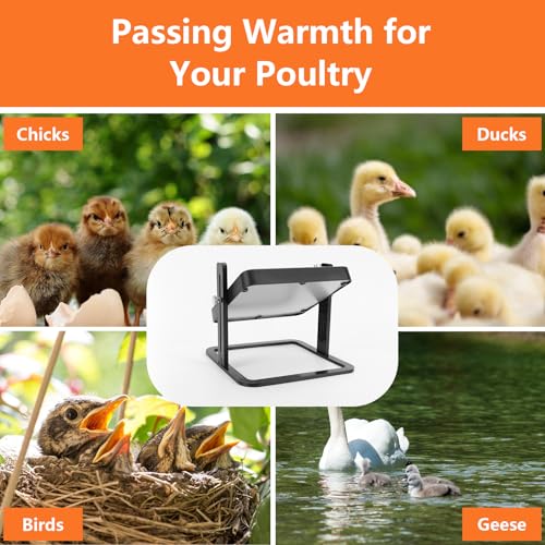 Chick Brooder Heater Plate, 10"x10" Brooder Plate for Chicks with Adjustable Temperature and Height, Brooder Heating Plate for Up to 15 Chicks