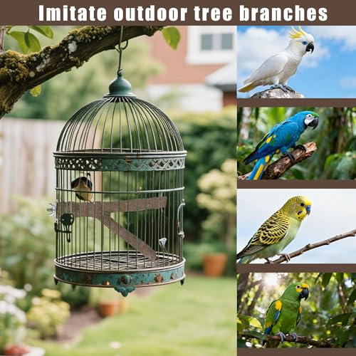 8 PCS Bird Perch Set | Natural Birch Wood, Straight & Forked Perches with Platforms, For Parakeets, Cockatiels, Conures, Lovebirds, Cage Accessories