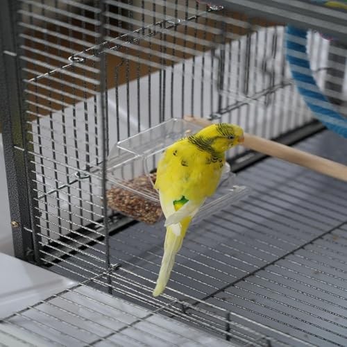 Small Bird Cage with Playground Stand - Spacious & Safe Design for Small Birds, Portable Bird Carrier with Handles and Play Top, Transparent Food Cup with Perch