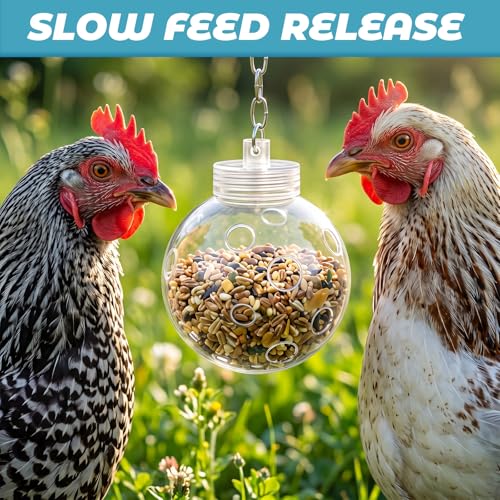 2 Pcs Chicken Treat Dispenser Interactive Slow Feeder Hanging Chicken Treat Ball with Chain Pecking Toys for Hens, Poultry Coop Accessories
