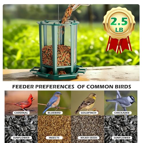 Birdream 4 Pack Bird Feeders for Outdoor Hanging, 10 LB Fun Installation Retro Pagoda Design Bird Feeder, Attracting Wild Birds Chickadees Goldfinches Cardinals Finches and Sparrows (Green) - color: Green, size: 4 PACK