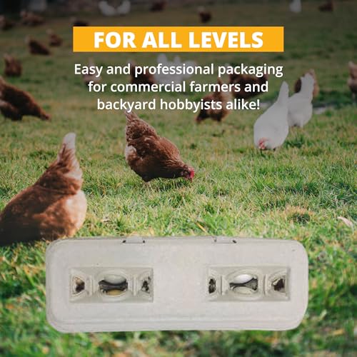 Stromberg's Large Blank Egg Cartons, Bulk Pack for Large Eggs, Perfect for Custom Branding, Safe & Secure Egg Storage, Convenient Stacking for Easy Transport and Storage, 250 Pack