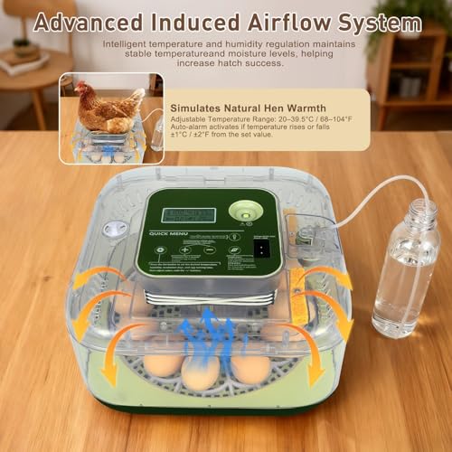 Series IV - 12 Egg Fully Automatic Incubator, Low Maintenance, Intelligent Sensor-Based Precise Humidity & Temp Control, Custom-Interval Auto Turn & Auto Stop, Preset Incubation Days, Candler, Alarms - size: New 12-Egg Green