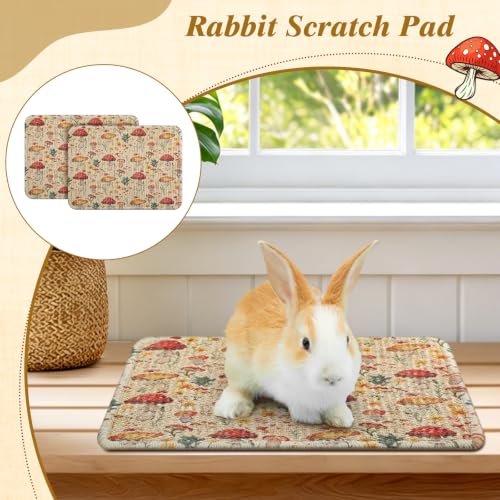 2 Pcs Rabbit Scratch Mats Natural Sisal Bunny Scratch Pads Claws and Teeth Care Rabbit Scratching Mats for Bunny Pet Small Animal Biting Sleeping Nesting Chew Play Toys