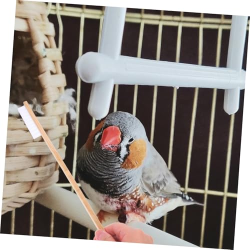 2pcs Bird Cage Cleaning Brush Set Cage Accessory Tools for Bird Feeder Perch Brush Chicken Coop Pet Supplies
