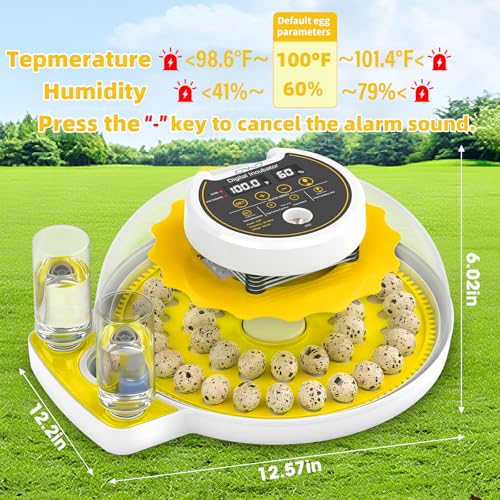 40 Quail Egg Incubator with Automatic Egg Turning Humidity Control Eggs | Large Capacity Quail Brooder Poultry Incubators, Also for Parrot, Dove, Canary and Other Birds - color: Yellow