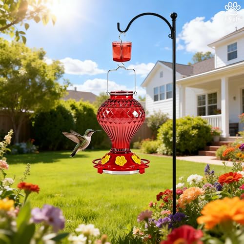 Glass Hummingbird Feeder for Outdoors Hanging, 20 oz Nectar Capacity, 6 Feeding Ports, Leak-Proof Rust-Free Plastic Base, Easy to Refill & Clean, Decorative Red Glass Bird Feeder for Garden Patio - color: Red, size: 20 Fluid Ounces