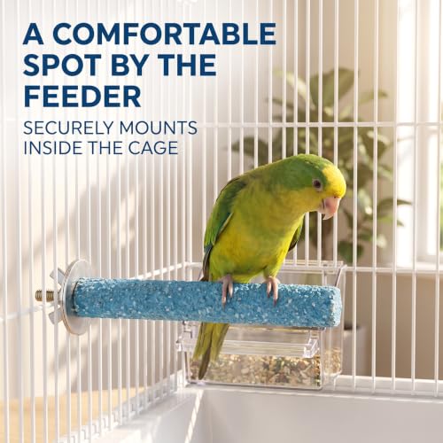 2 Pcs Multi-Color Random Bird Perch Stand Toy Wood Parrot Perch Stand Grinding Claw Sticks Sanded Surface Cage Toy for Parakeets Finches Parakeet Toys Birdcage Accessories