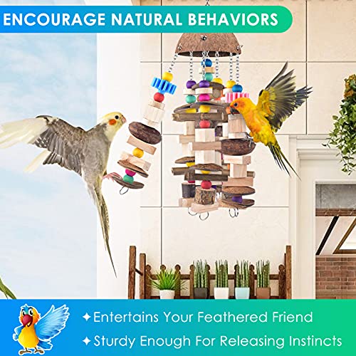 KATUMO Bird Toys, Large Parrot African Grey Wooden Chew Toys for Macaw Medium to Large Birds - style: Nutshell