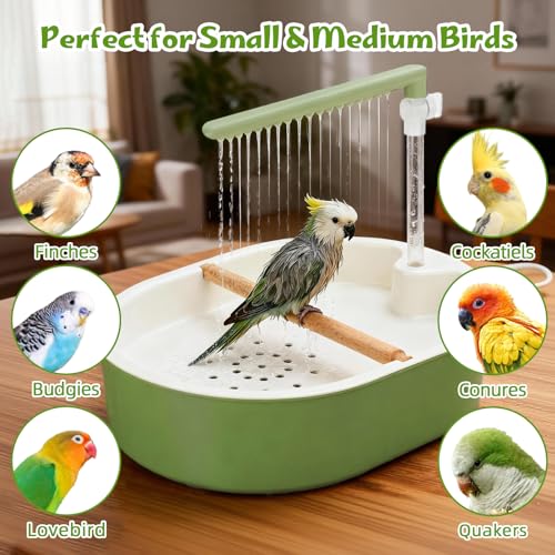 Automatic Parakeet Bird Bath Shower, Quiet Circulating Bathtub | Adjustable Water Flow, Low-Noise Pump, Fits Cockatiels, Budgies, Conures, Lovebirds, Quakers, Parrotlets, Small Parrots