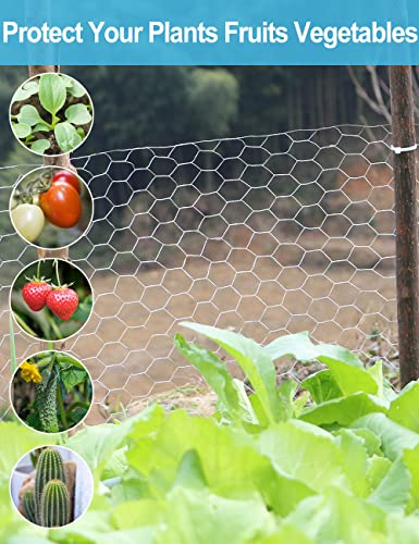 TOYPOPOR Chicken Wire 16in x 66ft(40cm x 20m), Outdoor Anti-Rust Hexagonal Galvanized Chicken Wire Mesh Fencing to Protect Gardening Plants Vegetables Flowers Fruits from Dogs Rabbits Squirrels, 16ft - size: 16 in x 66 ft (100 Ties)