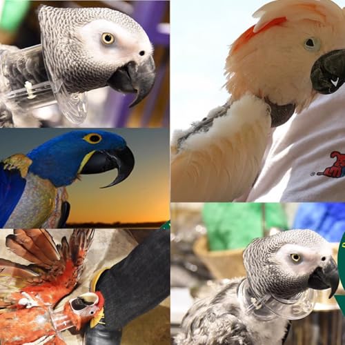 QBLEEV Parrot Anti-bite Collar, Anti-Grab Feather Lick Neck Collars | Stress-free recovery from injuries post-surgery, protective wound healing recovery collars fit lovebird macaws budgies - size: M