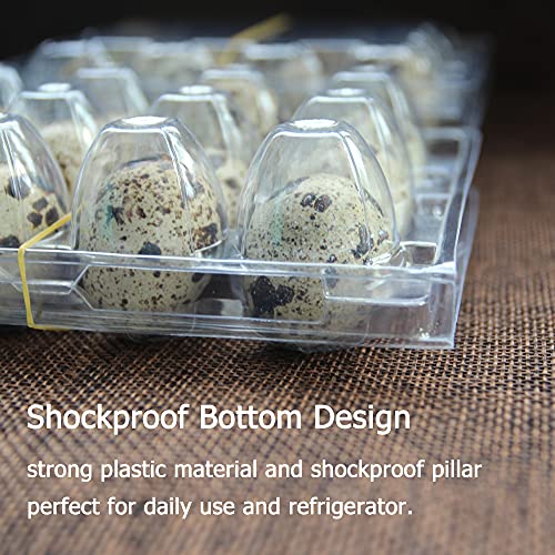 Quail Egg Cartons 100 Pack,Plastic Quail Egg Holder 12 Tray of Small Quail Eggs Storage Holders,Cheap Bulk Quail Egg Container for Refrigerator