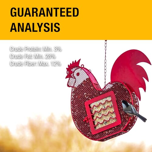 Heath Outdoor Products Berry All Season No Mess Suet Cake Birders Pack, Food for Woodpeckers, Cardinals, Siskins, Sparrows, Finch's & Many More Wild Birds & More - 10oz Suet Feeder, (Pack of 16) - size: 10 Ounce (Pack of 16), style: 16 VALUE PACK