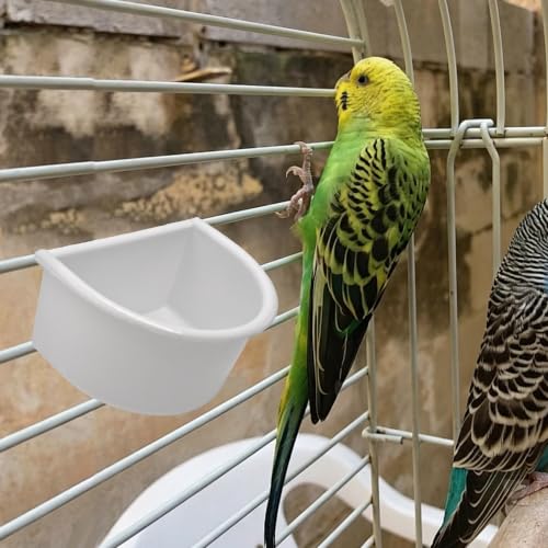 2Pcs Plastic Bird Cage Feeder Cup with Metal Hanging Hooks, Food and Water Bowl for Parakeets, Budgies, Parrots and Small Birds(White)
