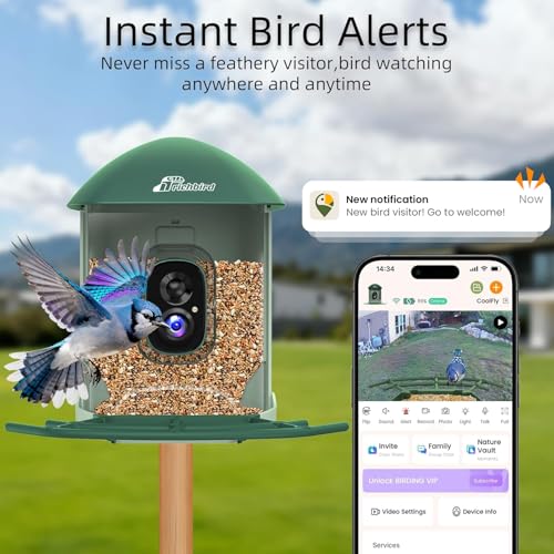 Smart Bird Feeder with Camera Solar Powered, 2.5K UHD Birdwatching Cam | Free AI Bird Identification, Instant Notifications & Auto Video Capture, 2.4G Wireless Outdoor Cam, for Mom Dad Birdlovers - color: Geen