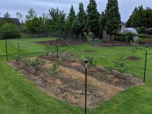 Bird Netting Post caps Madbird (5 Pack) for Bird-X, Birdbgone, Birdblock for Protecting Chickens, Blueberries. Strawberries, Fruit Trees, Grapes, Vegetable Gardens